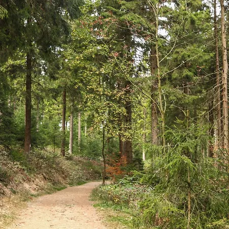 Haus Riesebeek Langelsheim