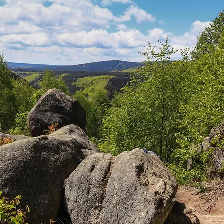 度假居 Haus Riesebeek *